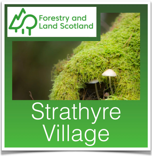 Strathyre Village