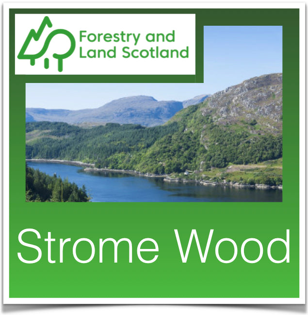 Strome Wood