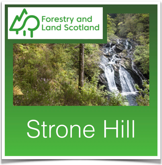 Strone Hill