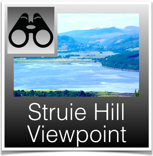 Struie Hill