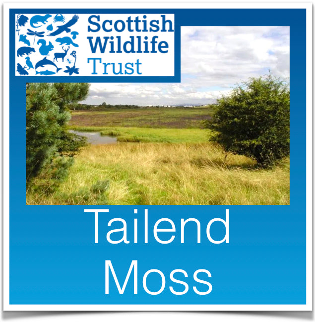 Tailend Moss