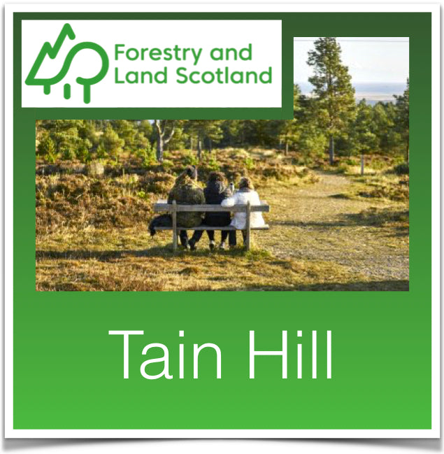 Tain Hill