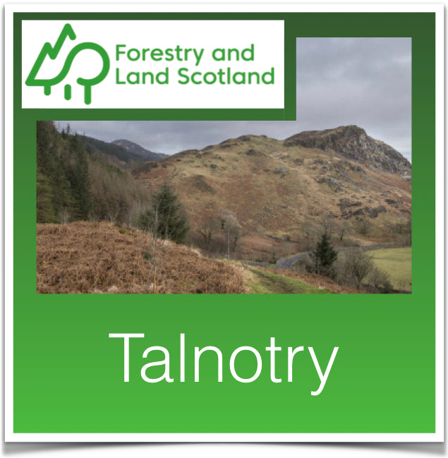 Talnotry