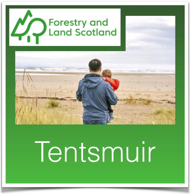 Tentsmuir