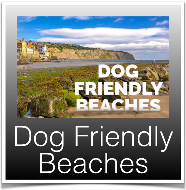 Dog Friendly Beaches