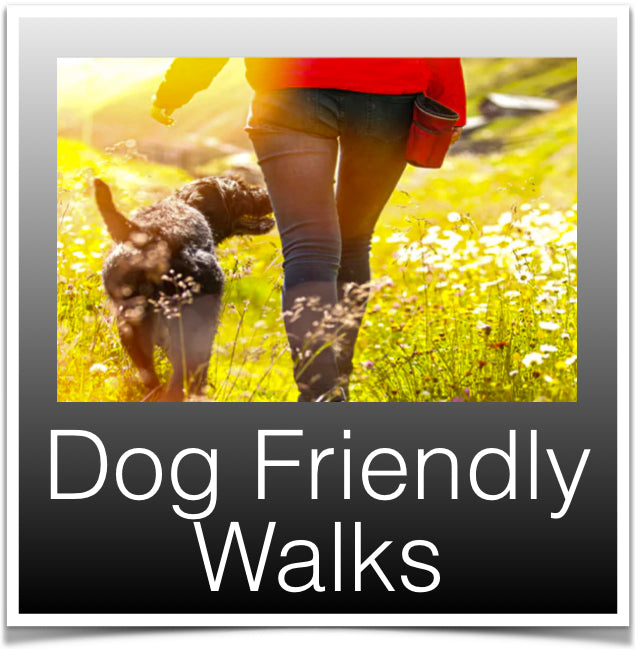 Dog Friendly Walks