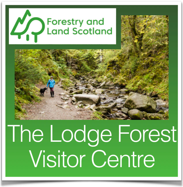 The Lodge Forest Visitor Centre