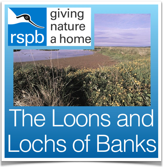 The Loons and Lochs of Banks