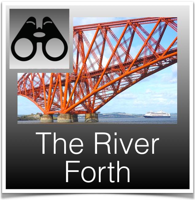 The River Forth