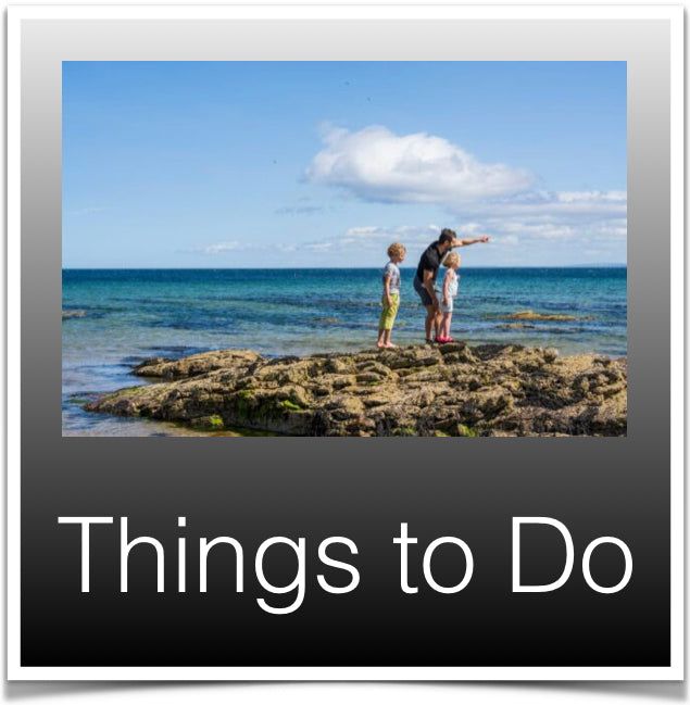 Things to Do