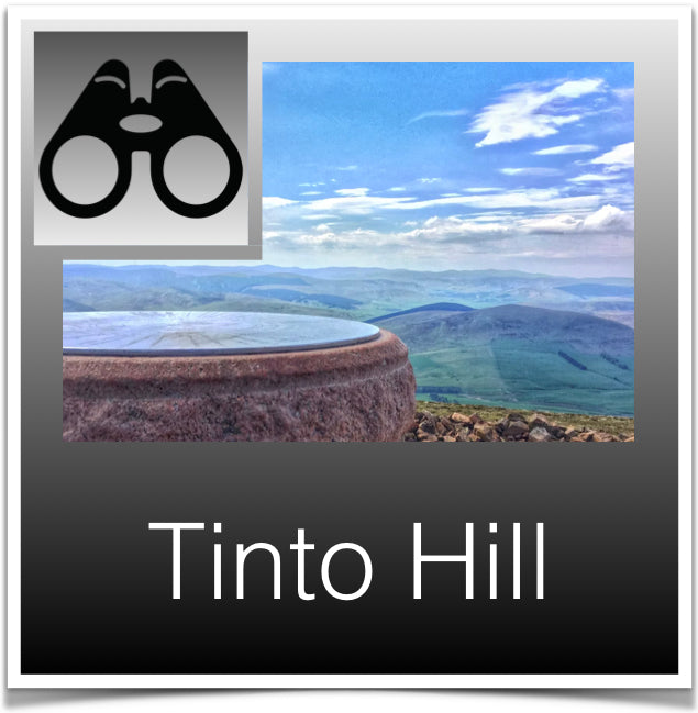 Tinto Hill