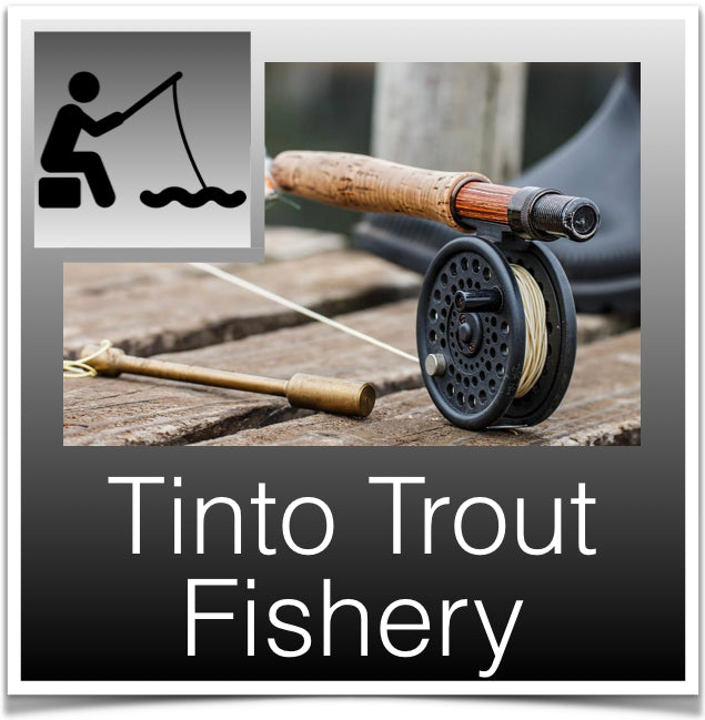 Tinto Trout fishery
