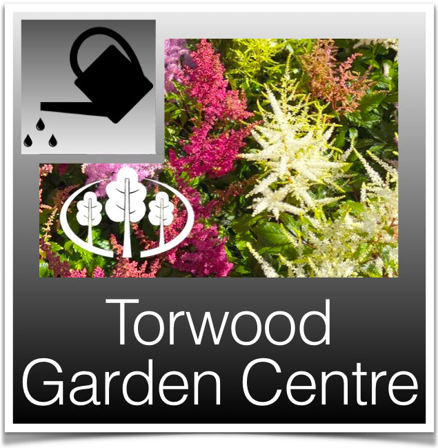 Torwood Garden Centre