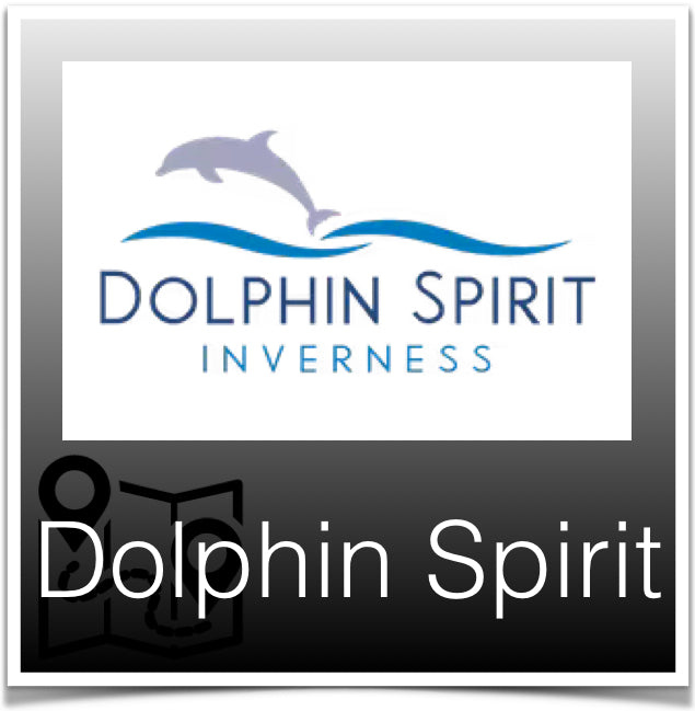 Dolphin spirit