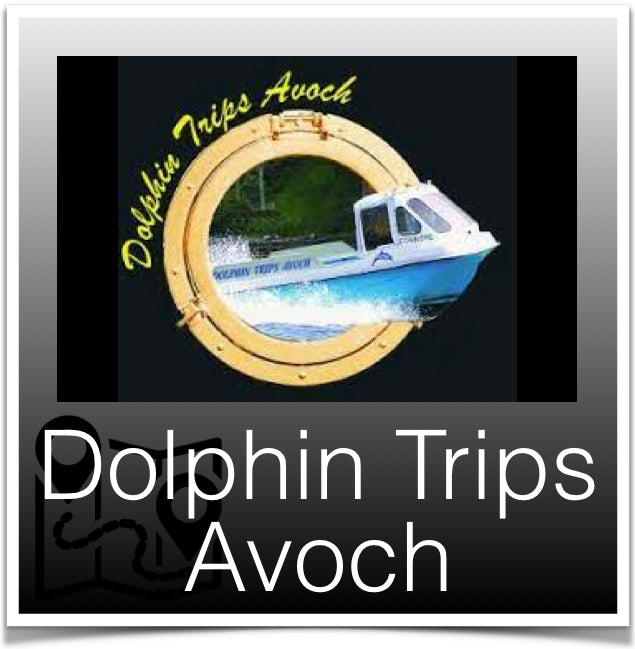 Dolphin Trips Avoch