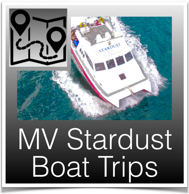 MV Stardust