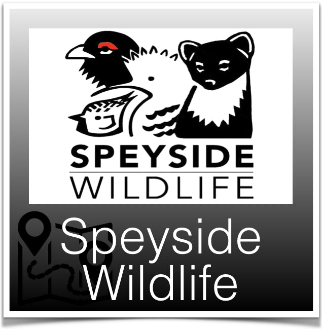 Speyside Wildlife