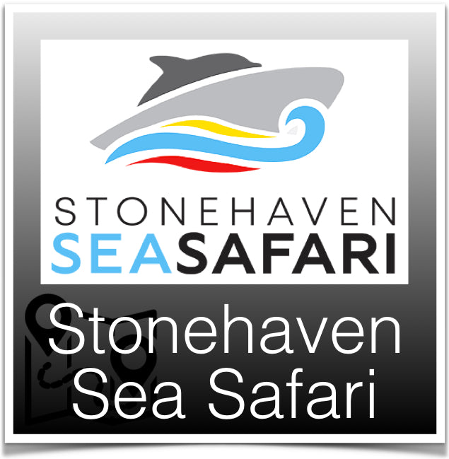 Stonehaven Sea Safari