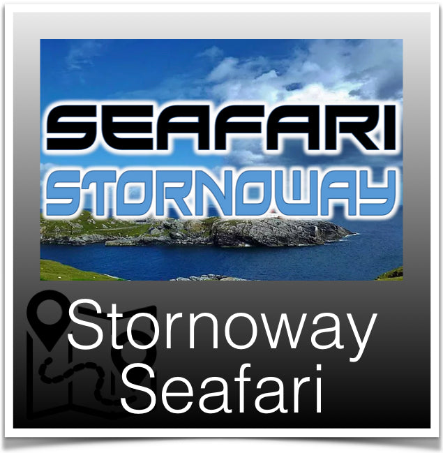 Stornoway Seafari