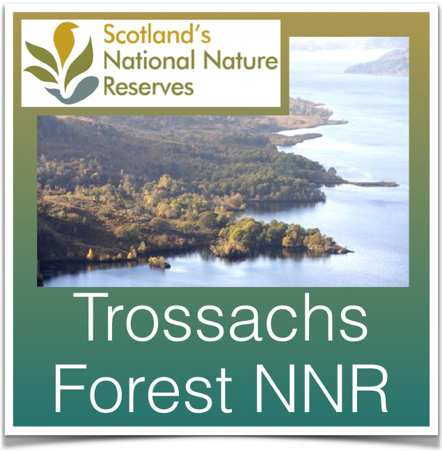 Trossachs