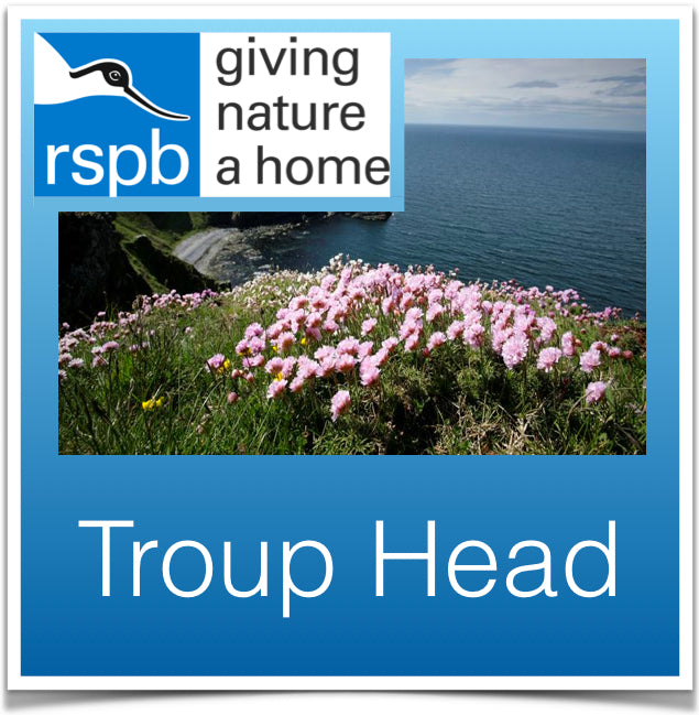 Troup Head Image