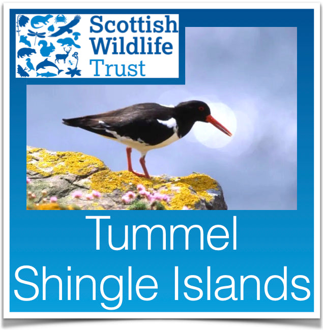 Tummel Shingle Islands