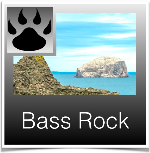 Bass Rock