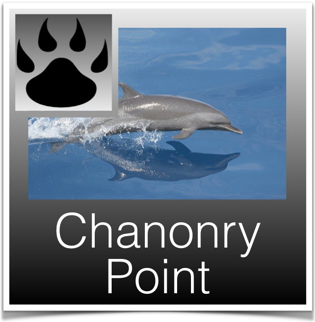 Chanonry Point