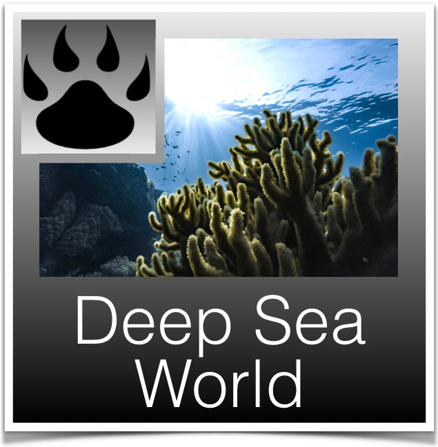 Deep Sea World Image