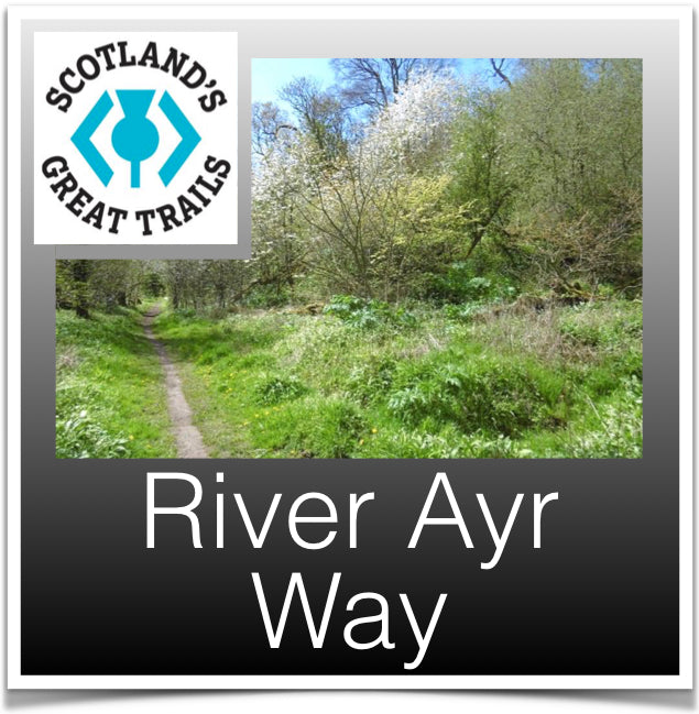 River Ayr Way