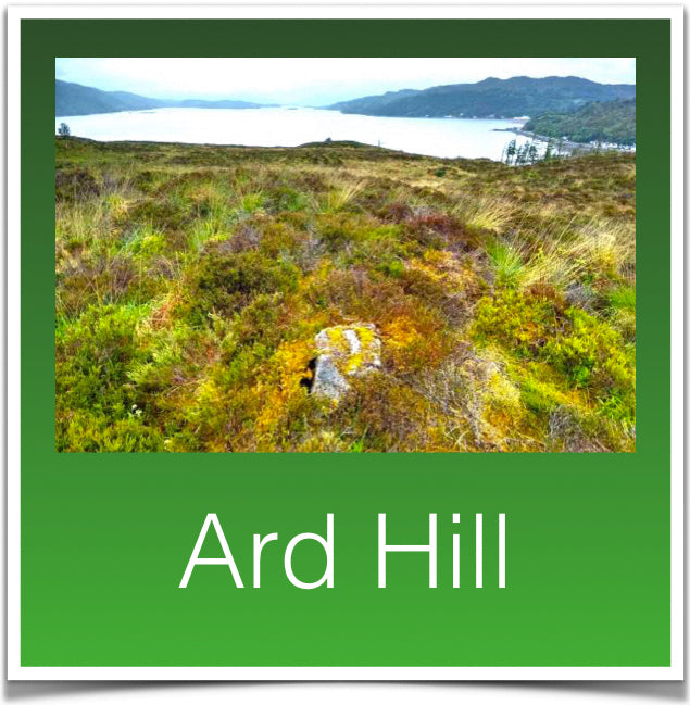 Ard Hill
