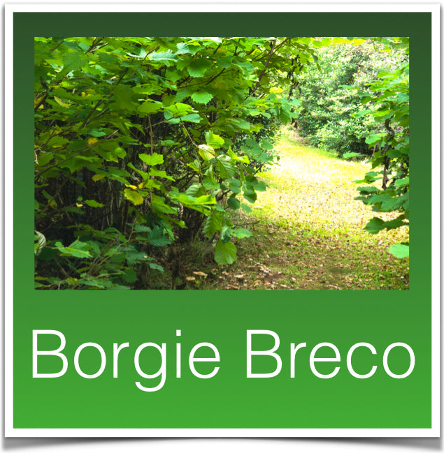 Borgie Breco