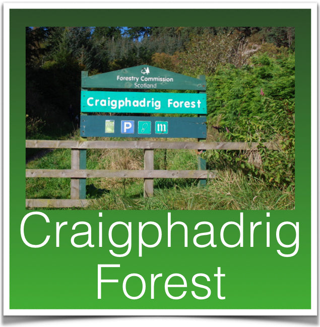 Craigphadrig Forest