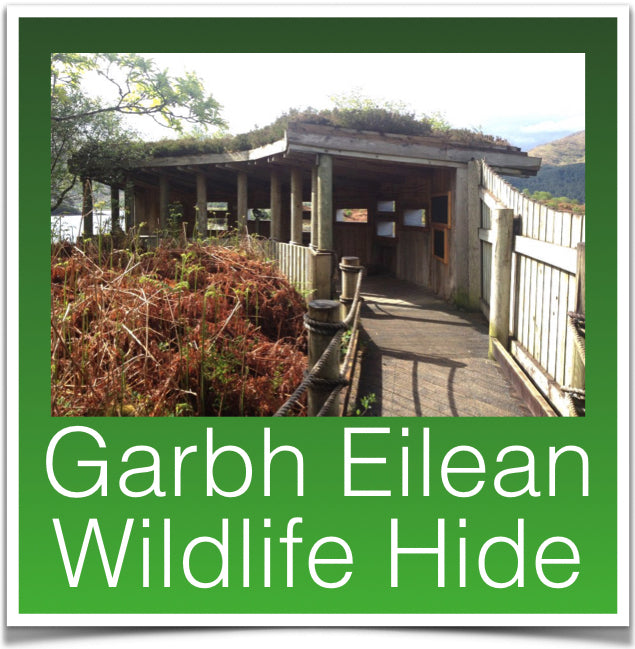 Garbh Eilean Wildlife Hide