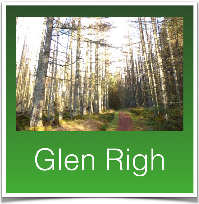 Glen Righ