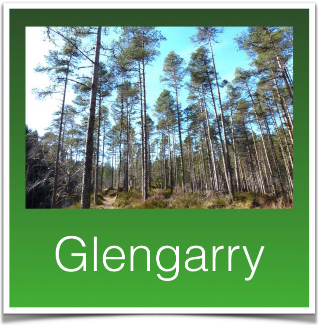 Glengarry