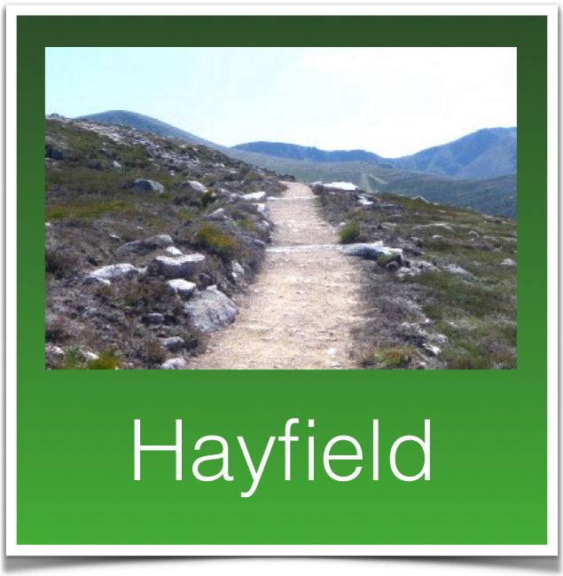 Hayfield