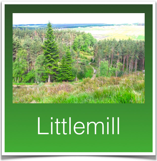 Littlemill