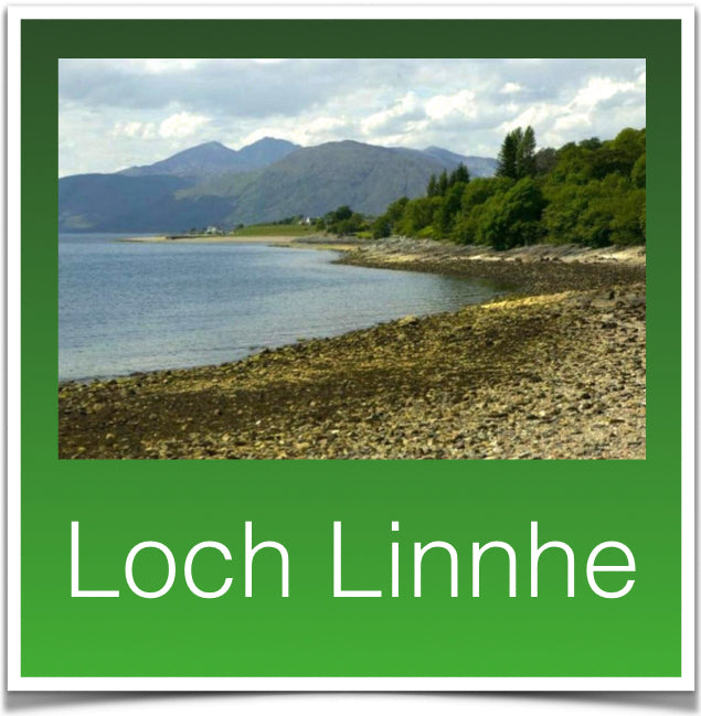 Loch Linnhe