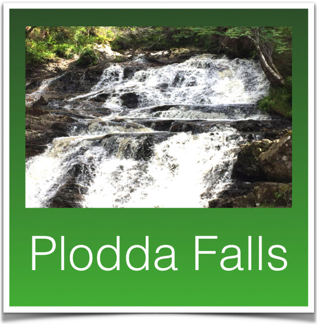 Plodda Falls