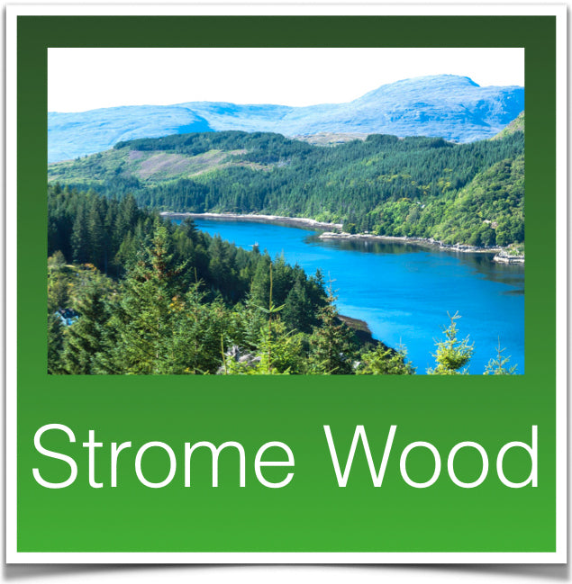 Strome Wood