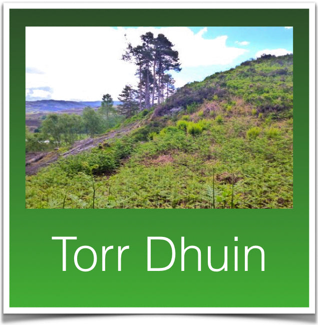 Torr Dhuin