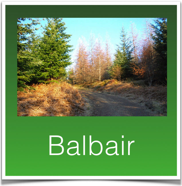 Balbair