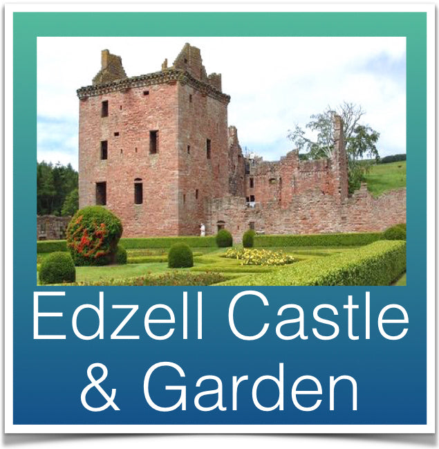 Edzell Castle & Garden
