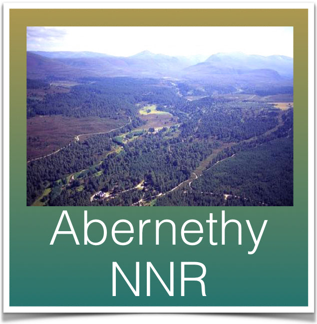 Abernethy