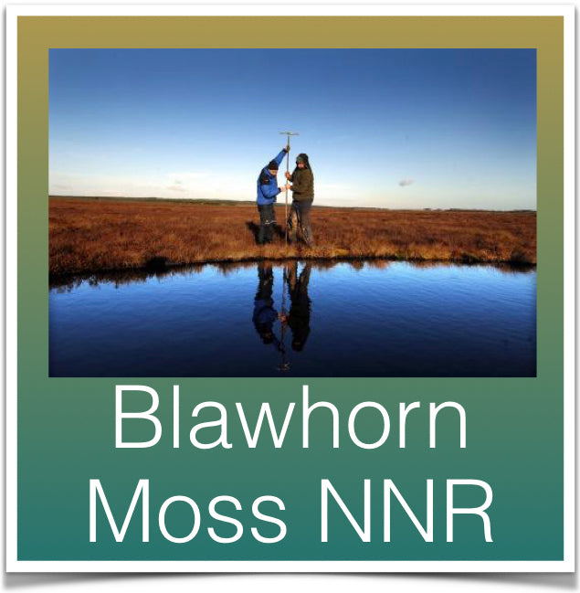 Blawhorn Moss NNR