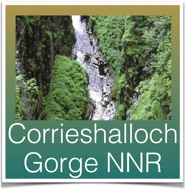 Corrieshalloch Gorge