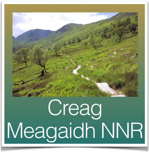 Creag Meagaidh