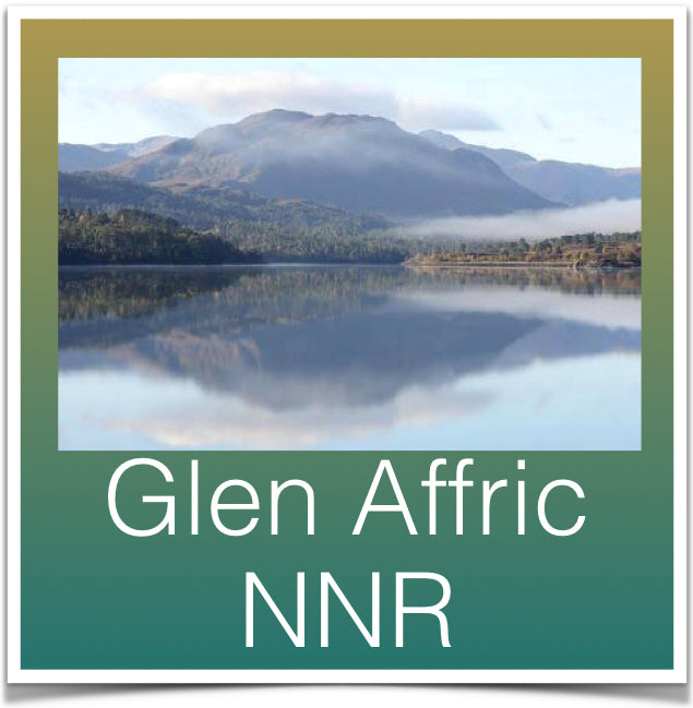 Glen Affric