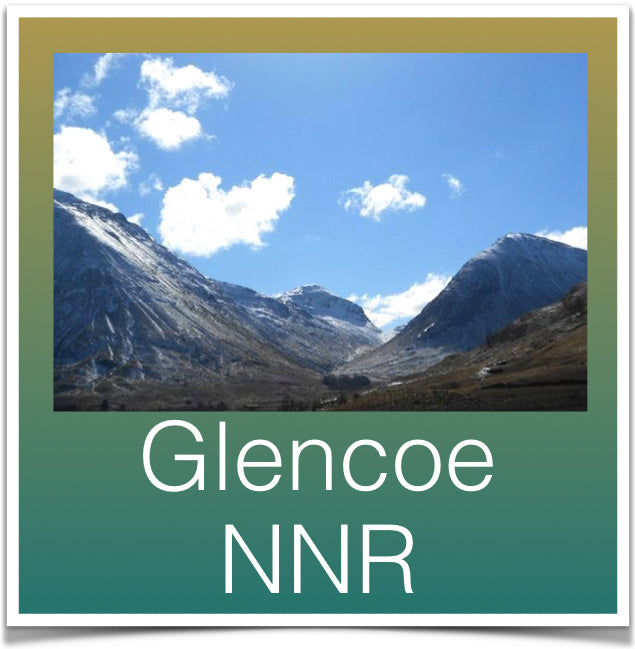 Glencoe